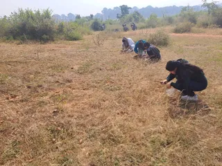 Evidence of human habitation in Odisha's Sundargarh 40,000 years ago: Stone Age tools found in Ib river basin