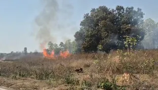 Odisha: Major fire breaks out near Jharsuguda airport