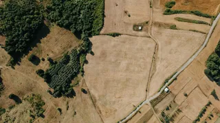 Land prices in Odisha's Puri to increase; govt to issue notification soon