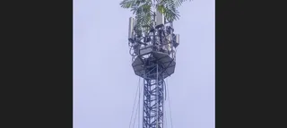Woman climbs mobile tower in Bihar's Gopalganj demanding lover's release