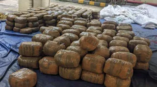 DRI seizes over 800 kg ganja from Bhubaneswar-bound fruits truck, 3 held