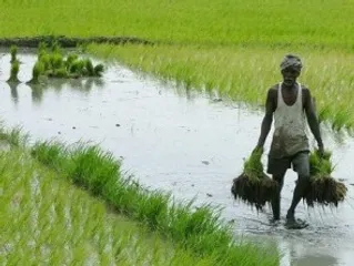 Climate change risks impacting financial system, need India-specific data: RBI Deputy Governor