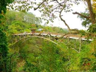 At Rishikesh, Bungee Jumping With A Twist