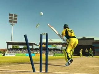 Can Investigations Cleanse Cricket ?