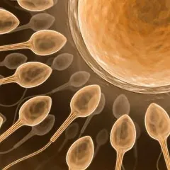 Moderate, continuous exercise may boost sperm quality