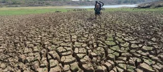 Paying on a head of a farmer who suicides