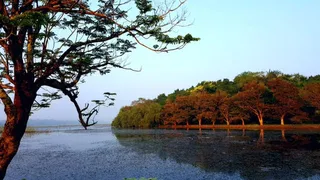 Photo of the Day: Nandankanan