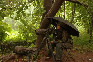 Perched on a Ticking Time Bomb