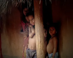 Odisha emerges as 'Nutrition Champion' in international study