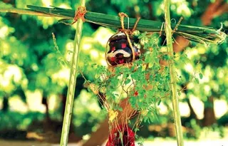 Odisha celebrates New Year