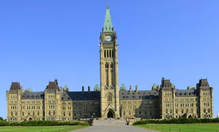 Politics as a Profession