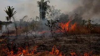 Amount of land burnt by fire drops globally: NASA