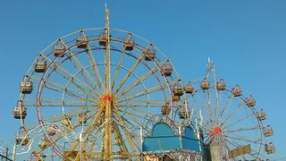 Historic Bali Jatra kicks off in Odisha's Cuttack