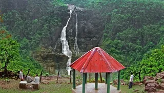 Pack your bags as beauty of Odisha's Similipal beckons!