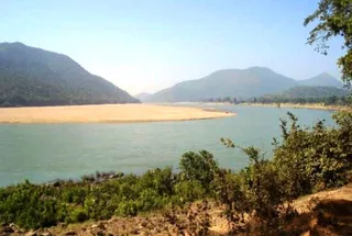 Odisha's Mahanadi river bank to get greener with over 2 crore trees