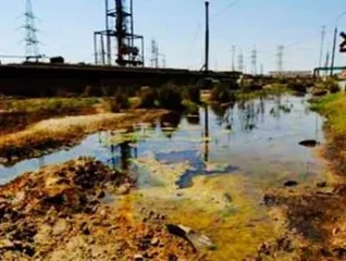 Water of over 20 rivers in Odisha unfit for human consumption