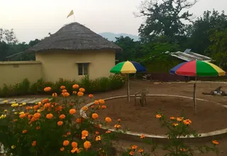 Hear the call of wild, pack bags for farmstay in Odisha's Athmallik