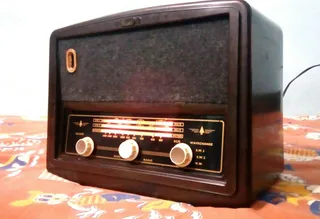 Meet the Odisha carpenter who carves vintage radio sets