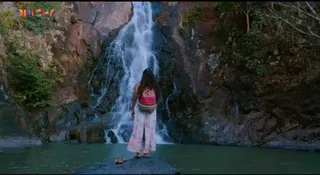 Watch the video on endless beauty of Odisha's wilderness