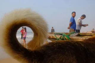 Shutterbugs from Kolkata, Varanasi photowalk in Odisha's Puri