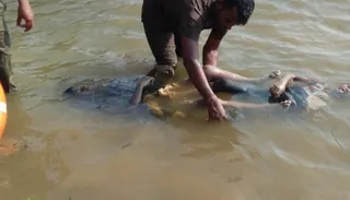 Odisha: Bodies of family of four found floating in Mahanadi