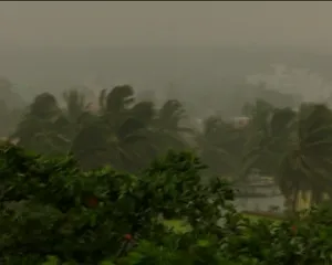 Caution! 'Yellow warning' in these Odisha districts for impending heavy rain