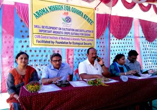 Not just sustainable livelihood, aromatic crops can ward off wild animals