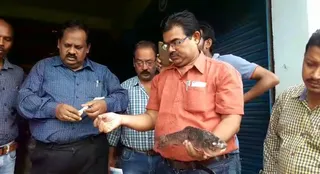 Cancer-causing formalin detected in fishes in Odisha's Sambalpur