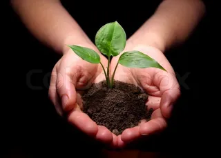 Get sapling free on purchase of new vehicles in Odisha capital