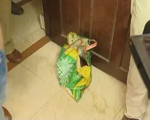 Odisha man surrenders before police with severed head