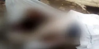 Elderly man found dead inside train in Odisha's Rourkela