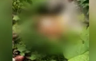 Couple found dead at forest in Odisha, murder over sorcery suspected