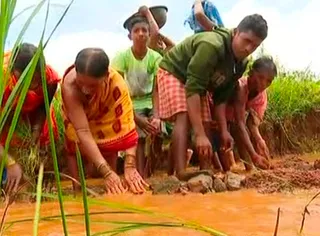 Defying odds, Odisha villagers develop their own irrigation plan