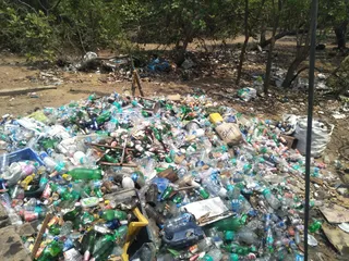 Animals living on land, freshwater in Asia-Pacific affected by plastic pollution: UN study