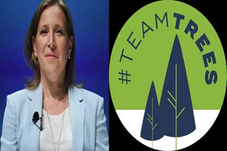 YouTube CEO donates 200K trees for #TeamTrees initiative