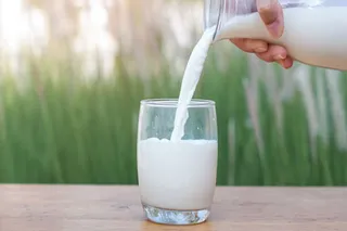 Study finds ultra-processed vegan meat, soy milk may aid weight loss