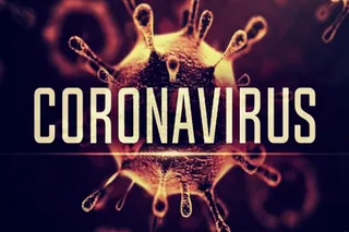 Pandemic and its sequel