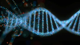 Digital life may be stored on DNA data files soon