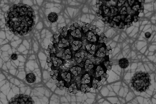 Black fungus: Risk factors and its treatment