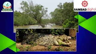 Legal Loopholes and Regulatory Lapses in the Kharasrota Pipeline