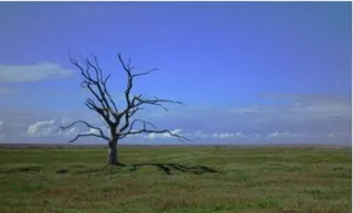 Climate change a threat to human wellbeing, health of planet: UN report