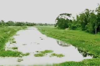 Communities along Sukapaika river come together to reverse manmade disaster