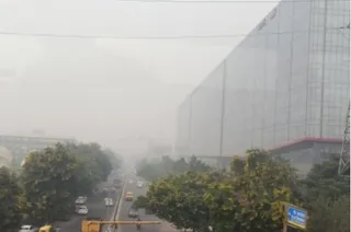 Study shows air pollutants influence pollen concentration