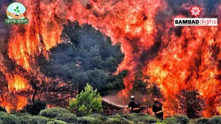 UN report suggests solutions to environmental threats like wildfires, noise pollution