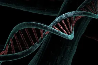 Scientists explain how 'junk' DNA may help treat people with PTSD, phobia