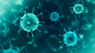 Fight HMPV with hydration & nutrition, no antibiotics needed: Dr Randeep Guleria