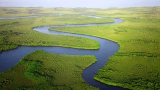 Lesser known facts about the mighty Amazon River