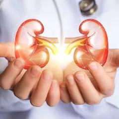 New liver and kidney disease identified