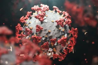 New versions of Omicron variant found in US