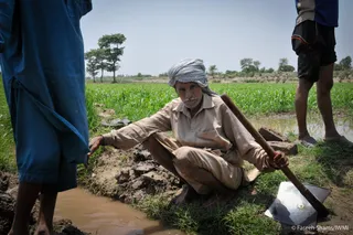 Better forecasts help farmers adapt to climate change: Researchers
